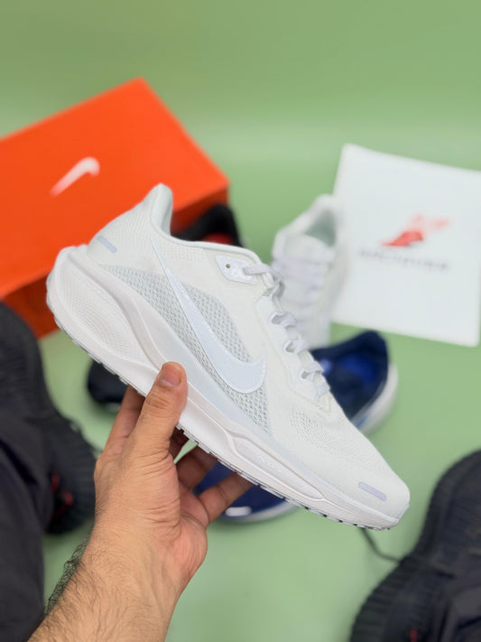 Nike pegasus 41